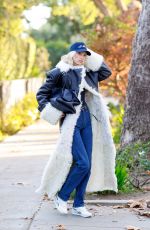 ELSA HOSK Out and About in Los Angeles 01/07/2025