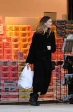 GEORGINA CHAPMAN Out Shopping in Upstate New York 01/12/2025