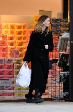 GEORGINA CHAPMAN Out Shopping in Upstate New York 01/12/2025