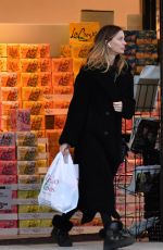 GEORGINA CHAPMAN Out Shopping in Upstate New York 01/12/2025