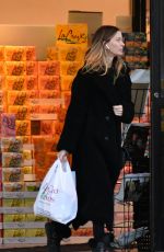 GEORGINA CHAPMAN Out Shopping in Upstate New York 01/12/2025