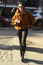 HAILEY BIEBER Out and About in New York City 01/30/2025