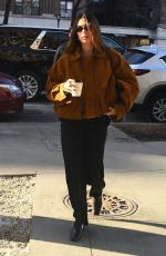 HAILEY BIEBER Out and About in New York City 01/30/2025