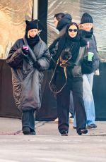 IRINA SHAYK Out with a Friend and Her Dog in New York City 01/08/2025