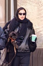 IRINA SHAYK Out with a Friend and Her Dog in New York City 01/08/2025