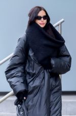 IRINA SHAYK Out with Her Dog in New York City 01/15/2025
