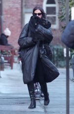 IRINA SHAYK Out with Her Dog in New York City 01/15/2025