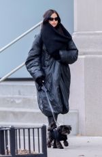 IRINA SHAYK Out with Her Dog in New York City 01/15/2025