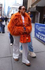 JORDYN WOODS Arrives at New York Knicks Game at Madison Square Garden in New York 01/12/2025