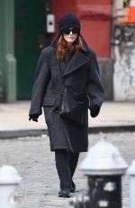 JULIANNE MOORE Out and About in New York City 01/22/2025