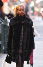 JUSTINE SKYE Out and About in New York City 01/22/2025
