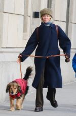 KATE CAPSHAW Out with Her dog in Manhattan