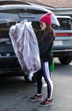 KYLE RICHARDS Stop at Her Local Dry Cleaners in Los Angeles 01/17/2025
