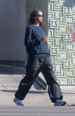 LAURA HARRIER Out and About in Los Feliz 01/13/2025