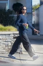 LAURA HARRIER Out and About in Los Feliz 01/13/2025