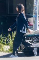 LAURA HARRIER Out and About in Los Feliz 01/13/2025