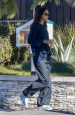 LAURA HARRIER Out and About in Los Feliz 01/13/2025