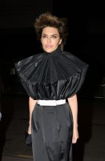 LISA RINNA Arrives at Costes Party in Paris 01/27/2025