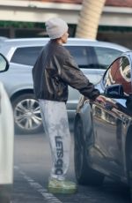 LISA RINNA Out for Lunch in Bel Air 01/04/2025