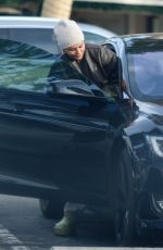LISA RINNA Out for Lunch in Bel Air 01/04/2025