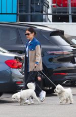 LUCY HALE Out and About with Her Dog in Studio City 01/22/2025