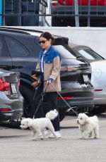 LUCY HALE Out and About with Her Dog in Studio City 01/22/2025