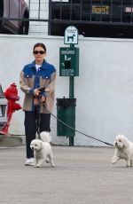 LUCY HALE Out and About with Her Dog in Studio City 01/22/2025