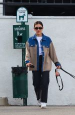 LUCY HALE Out and About with Her Dog in Studio City 01/22/2025
