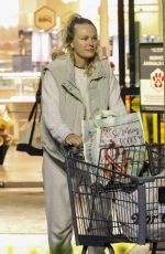 MALIN AKERMAN Out for Some Late Grocery Shopping in Los Feliz 01/26/2025
