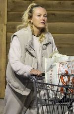 MALIN AKERMAN Out for Some Late Grocery Shopping in Los Feliz 01/26/2025