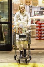 MALIN AKERMAN Out for Some Late Grocery Shopping in Los Feliz 01/26/2025