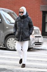 MICHELLE WILLIAMS Out and About in New York 01/22/2025