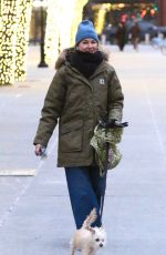 NAOMI WATTS Out Walking Her Dog in New York City 01/27/2025