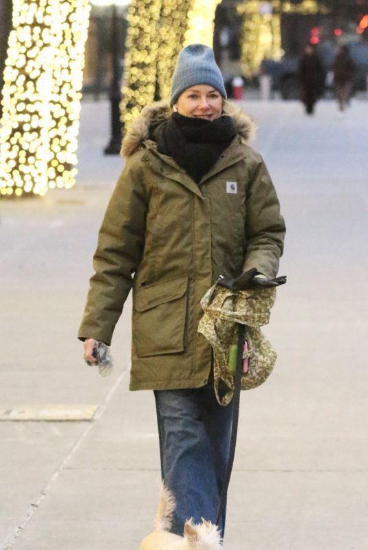 NAOMI WATTS Out Walking Her Dog in New York City 01/27/2025