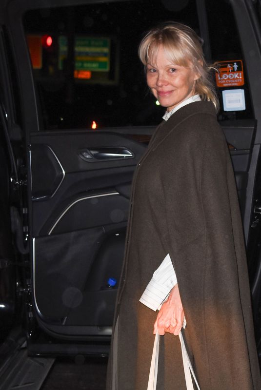 PAMELA ANDERSON Arrives at JFK Airport in New York 01/07/2025
