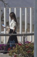 PIA MILLER and Patrick Whitesell Escape to Los Cabos amid LA Fires 01/10/2025