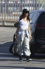 PRIYANKA CHOPRA Leaves a Private Airport in Los Angeles 01/09/2025