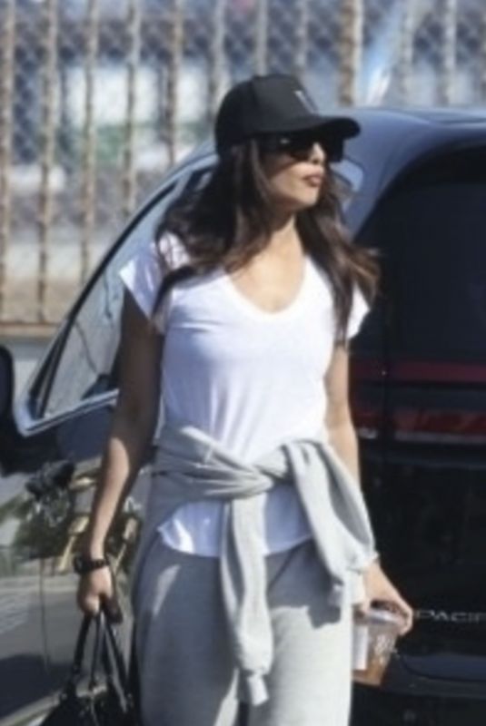 PRIYANKA CHOPRA Leaves a Private Airport in Los Angeles 01/09/2025