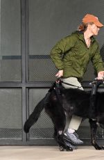 RENEE ZELLWEGER Takes Her Dog to the Vet 01/25/2025
