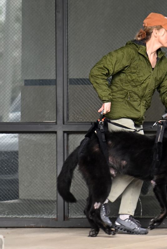 RENEE ZELLWEGER Takes Her Dog to the Vet 01/25/2025