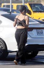 SCHEANA SHAY Out Shopping in Palm Springs 01/10/2025