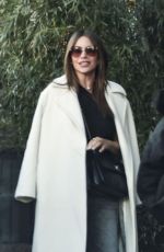 SOFIA VERGARA and Lewis Hamilton Ona Lunch Date in New York 01/15/2025