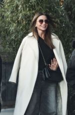 SOFIA VERGARA and Lewis Hamilton Ona Lunch Date in New York 01/15/2025