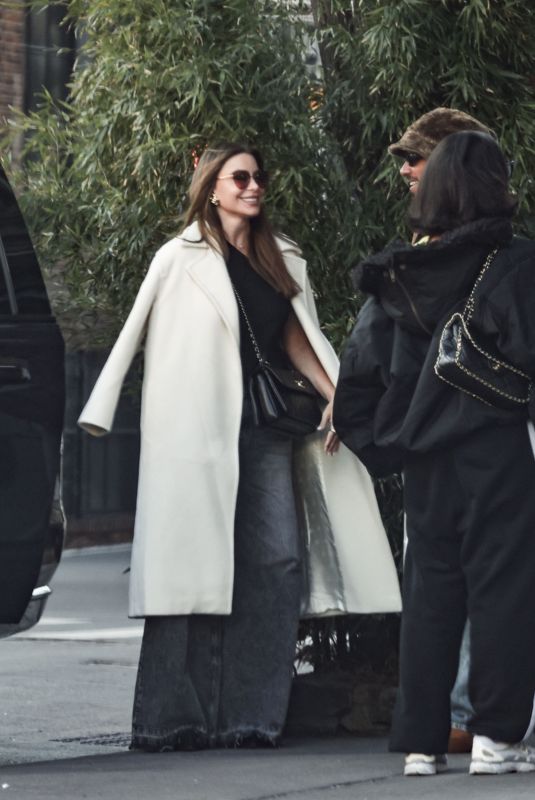 SOFIA VERGARA and Lewis Hamilton Ona Lunch Date in New York 01/15/2025