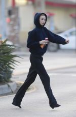 WHITNEY PORT Leaves a Skin Clinic in Los Angeles 12/31/2024