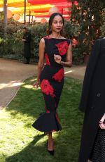 ZOE SALDANA at Variety Creative Impact Awards 10 Directors To Watch Brunch at Palm Springs International Film Festival 01/04/2025