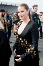 AMY ADAMS Arrives at 2025 Film Independent Spirit Awards 02/22/2025