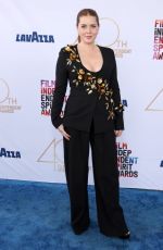 AMY ADAMS at 2025 Film Independent Spirit Awards in Santa Monica 02/22/2025