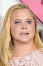 AMY SCHUMER at Kinda Pregnant Premiere in New York 02/03/2025