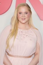 AMY SCHUMER at Kinda Pregnant Premiere in New York 02/03/2025